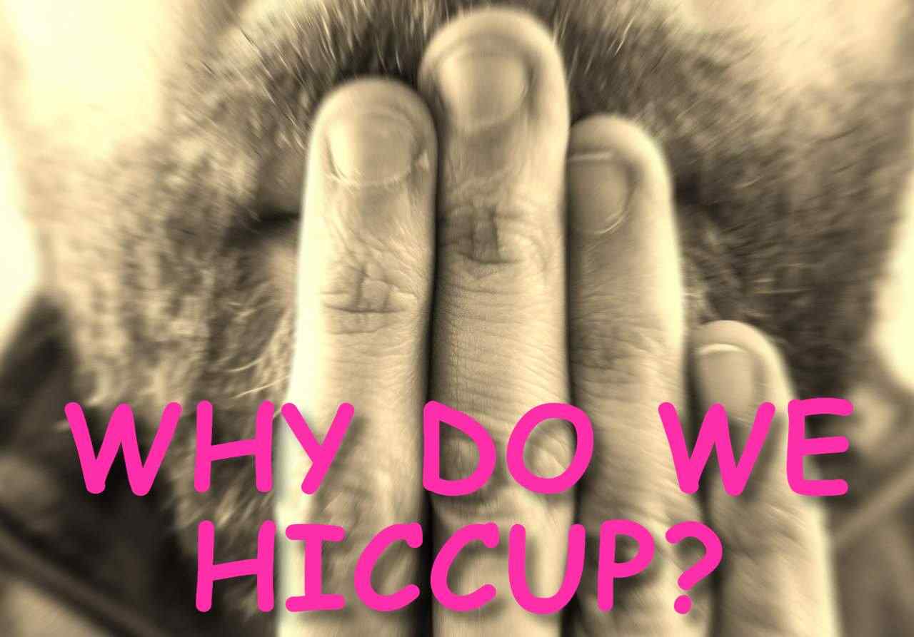WHY DO WE HICCUP