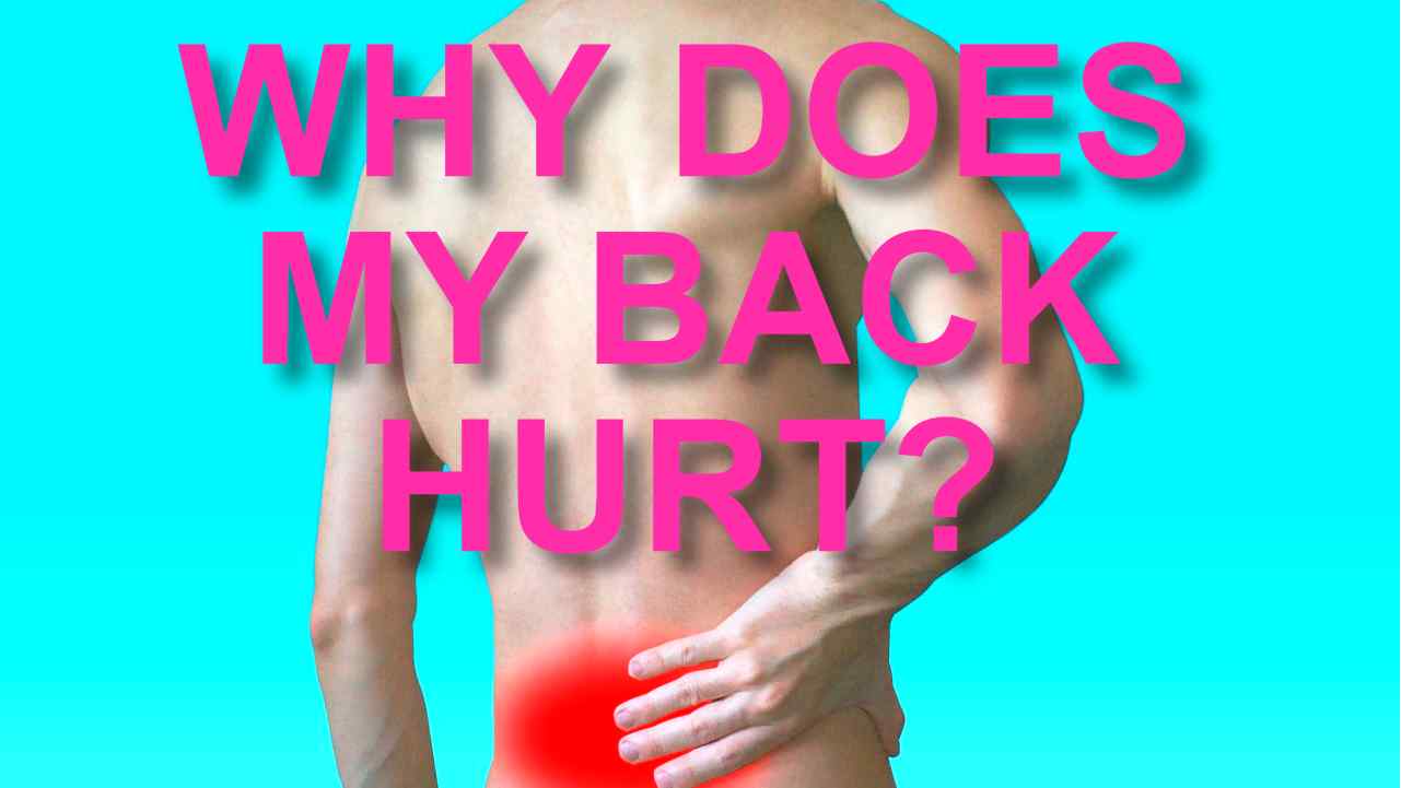 WHY DOES MY BACK HURT