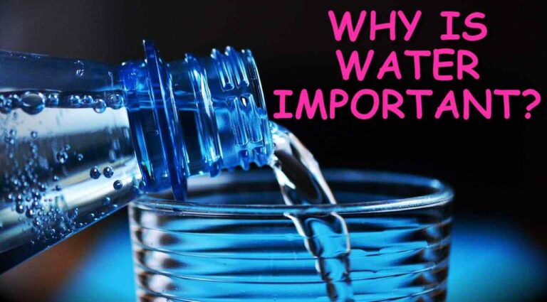 WHY IS WATER IMPORTANT