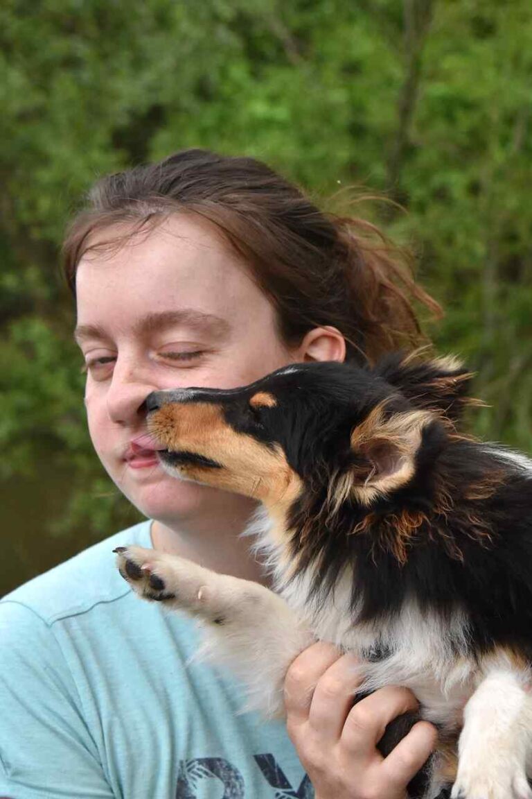 Why Do Dogs Lick People Pic 6